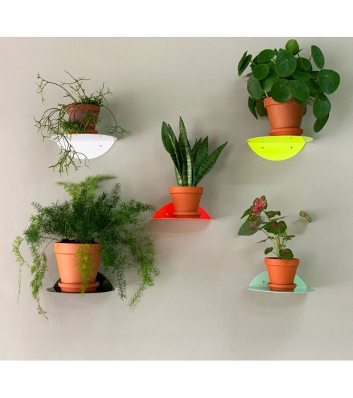 Round Shelf Flourescent Mint