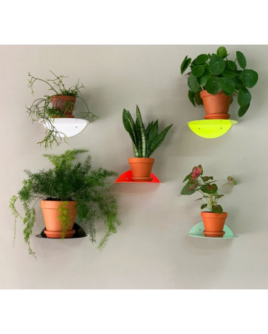 Round Shelf Flourescent Mint